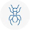 Ant Removals In Thanet