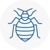 Bed Bug Extermination In Thanet