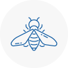 Bee Nest Removal Thanet