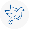 Bird Prevention Thanet
