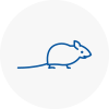 Mice Exterminators In Thanet