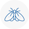Moth Control Specialists In Thanet