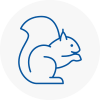Thanet Rodent Removals